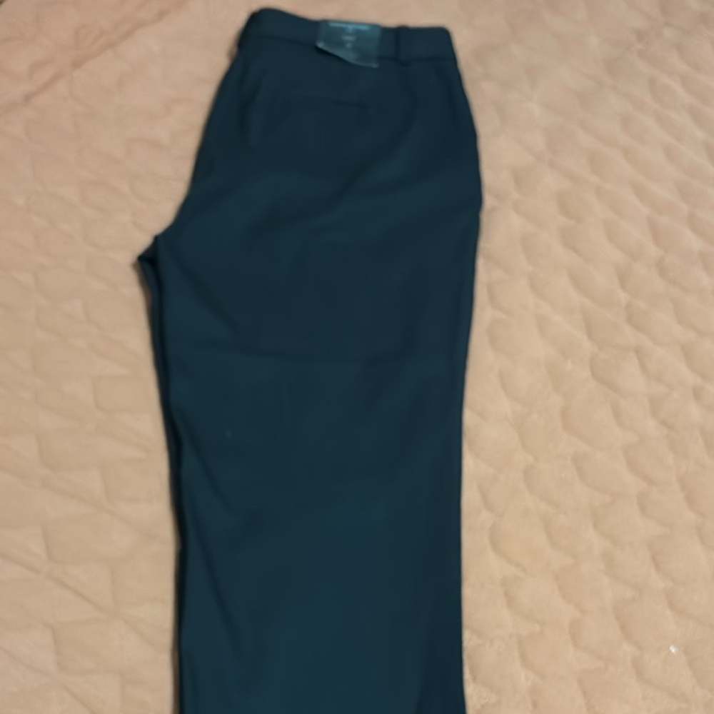 Banana Republic Ryan dress pants size 10